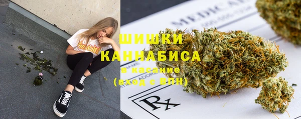 дмт Карпинск