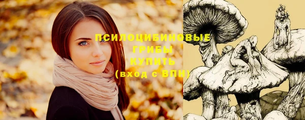 таблы Козловка