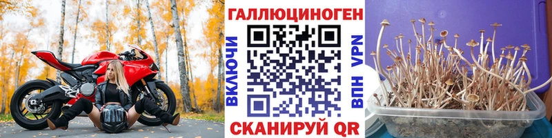 Галлюциногенные грибы мухоморы Кодинск